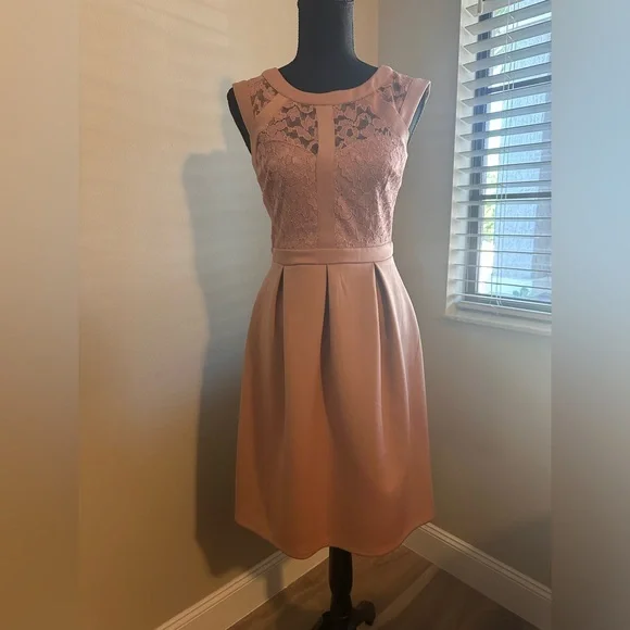 EUC‼️ Enfocus Studio Dusty Rose Sparkly Lace Dress. - Picture 1 of 8
